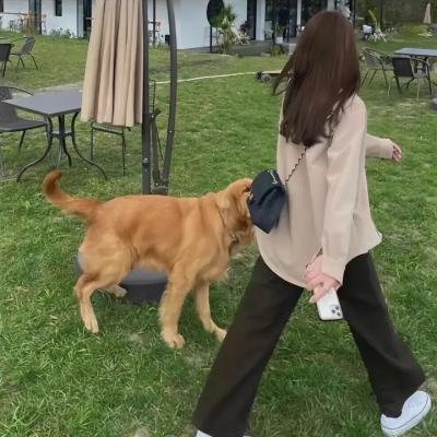 指甲